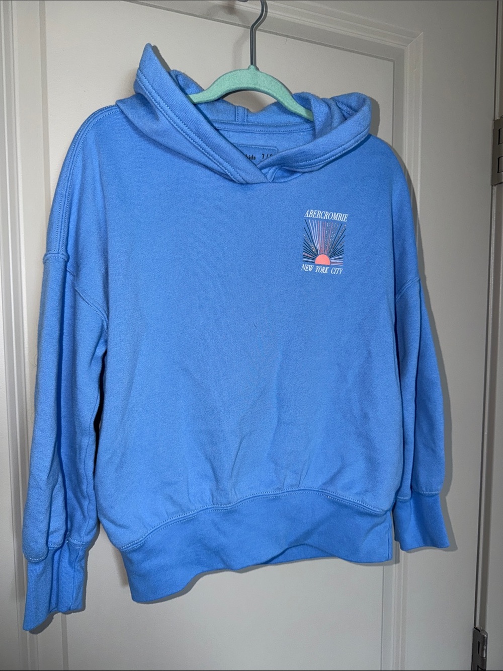 abercrombie kids Light Blue Graphic Pullover Hoodie